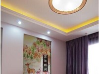奥林匹克花园小区-80平米-二居-现代简约风格装修效果图 (4)