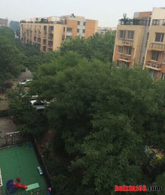 QQ图片20150623172507