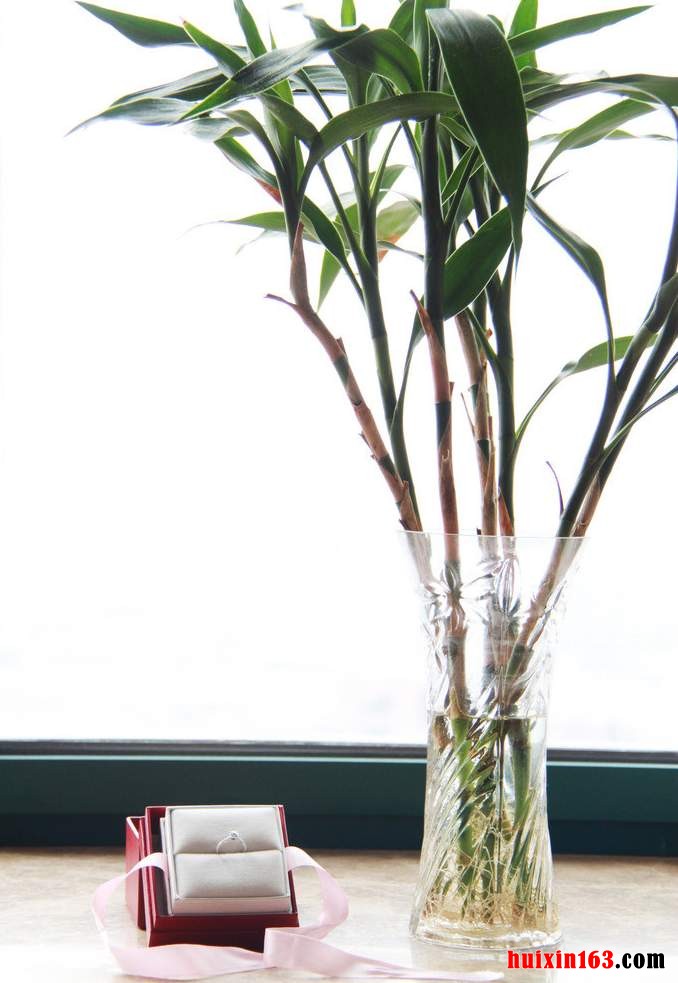 3 水竹